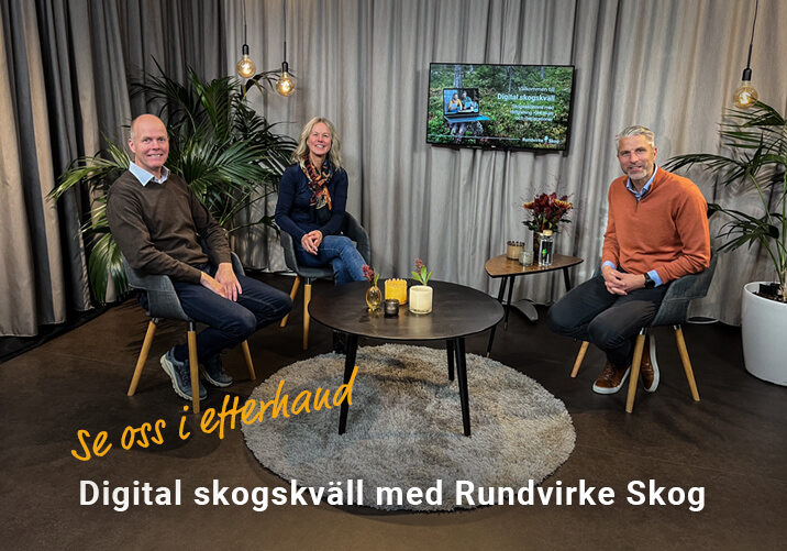 Se Digital skogskväll från 24 oktober 2024