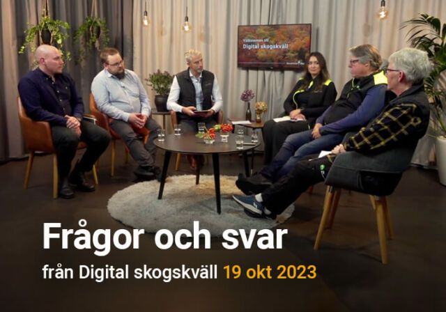 Frågor och svar från Digital skogskväll 19 okt 2023