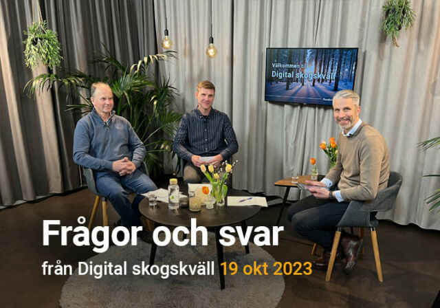 Frågor och svar från Digital skogskväll 15 februari 2024