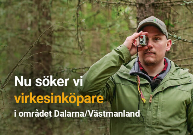 Rundvirke Skog söker virkesinköpare i Dalarna/Västmanland