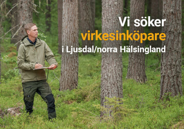 Rundvirke Skog söker virkesinköpare i norra Hälsingland/Ljusdal