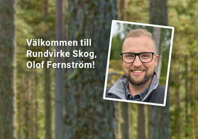 Möt vår musicerande skogsmulle Olof Fernström, virkesinköpare i Uppland och Västmanland