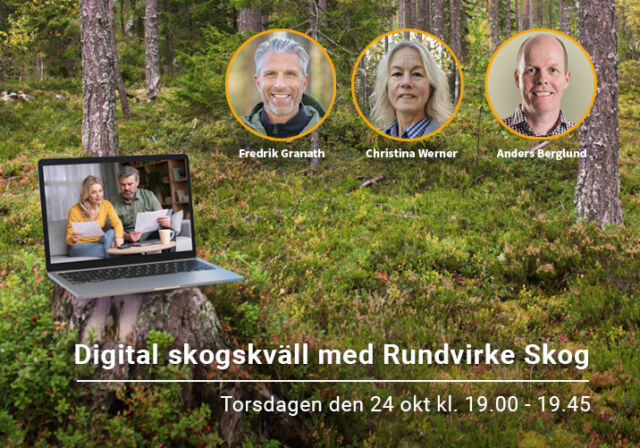 Välkommen till Digital skogskväll med Rundvirke Skog 24 oktober