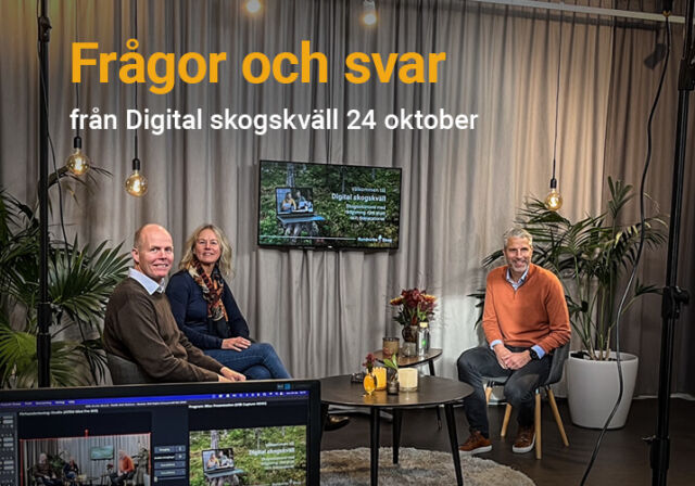 Frågor och svar från Digital skogskväll 24 okt 2024